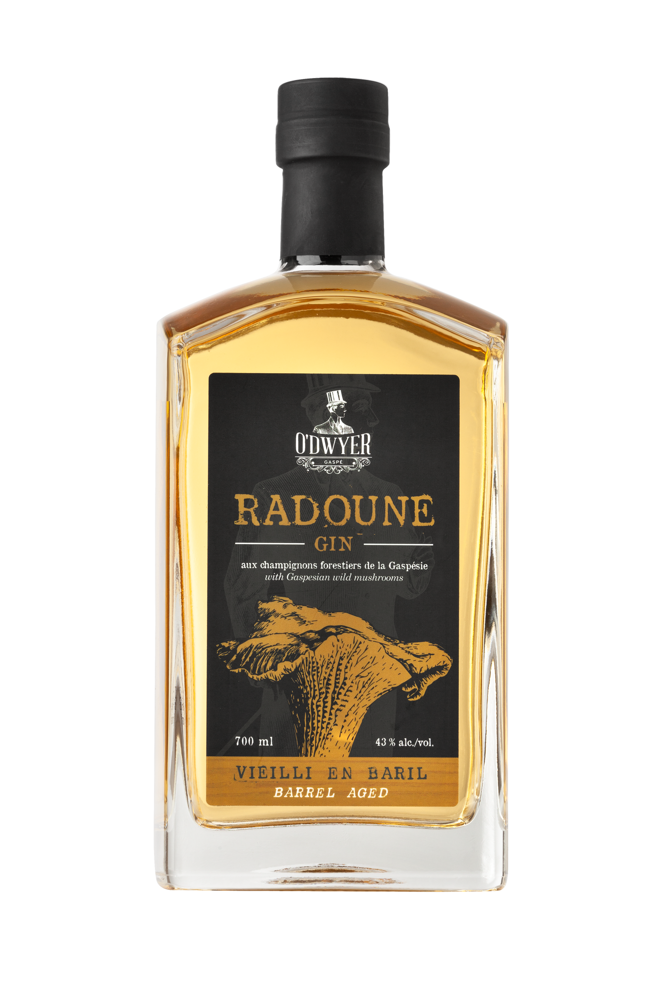 O'Dwyer Radoune mushroom aged Gin
